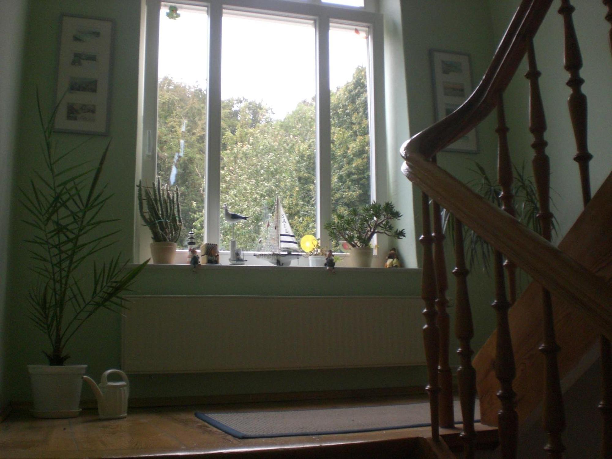 Pension Villa Sophia Sassnitz Extérieur photo